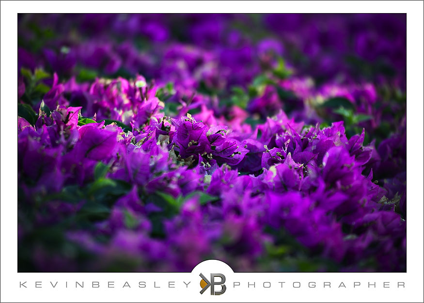 img_0970 img_0970
