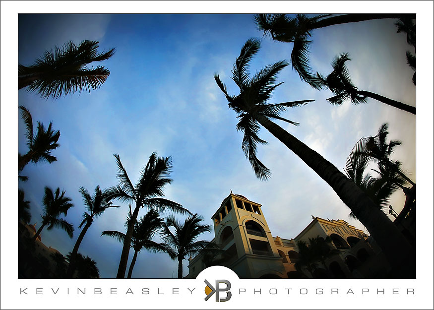 img_3217 img_3217