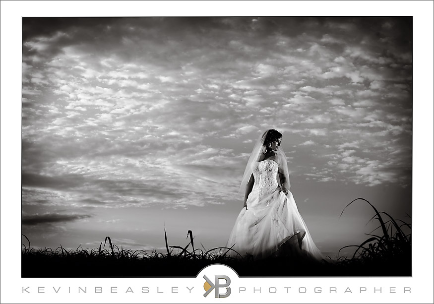 amazing-bridals-64